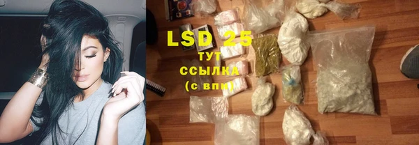 дживик Саяногорск