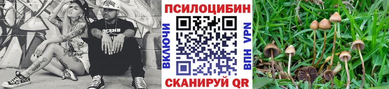 купить  цена  Неман  Псилоцибиновые грибы Magic Shrooms 