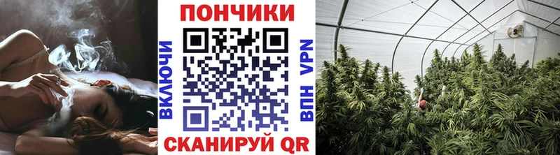 площадка как зайти  Неман  Каннабис планчик 